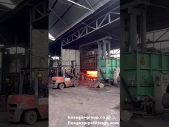 鉄鋼/炭素鋼のフレンズ鍛造のために,フランスから移動した前熱棒