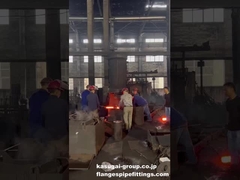 フレンズ加工のためのオープン・マート鍛造 - ASME/ANSI B16.5/B16.47 フレンズ